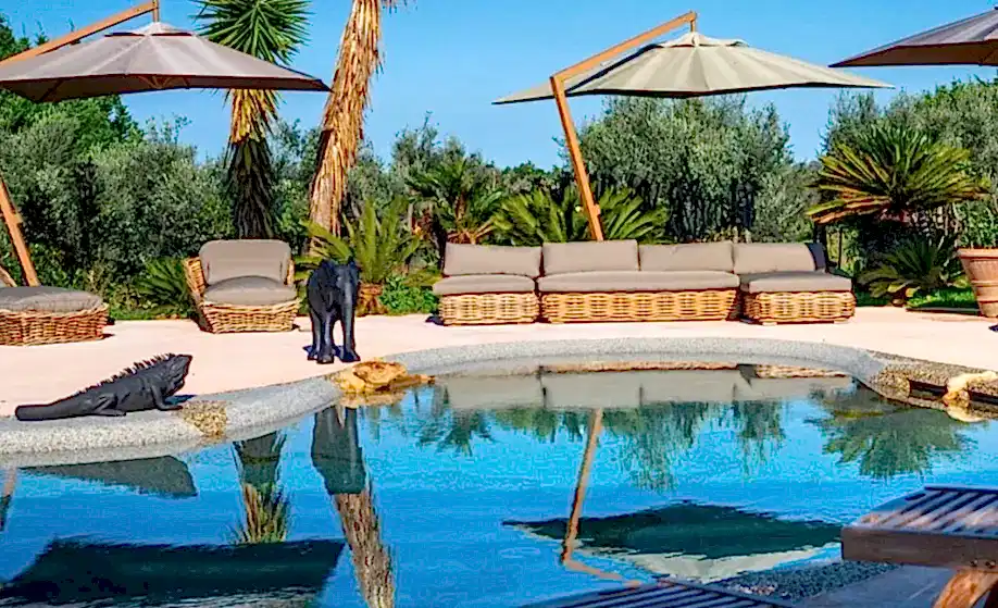 A-luxury-pool-deserves-a-luxury-setting