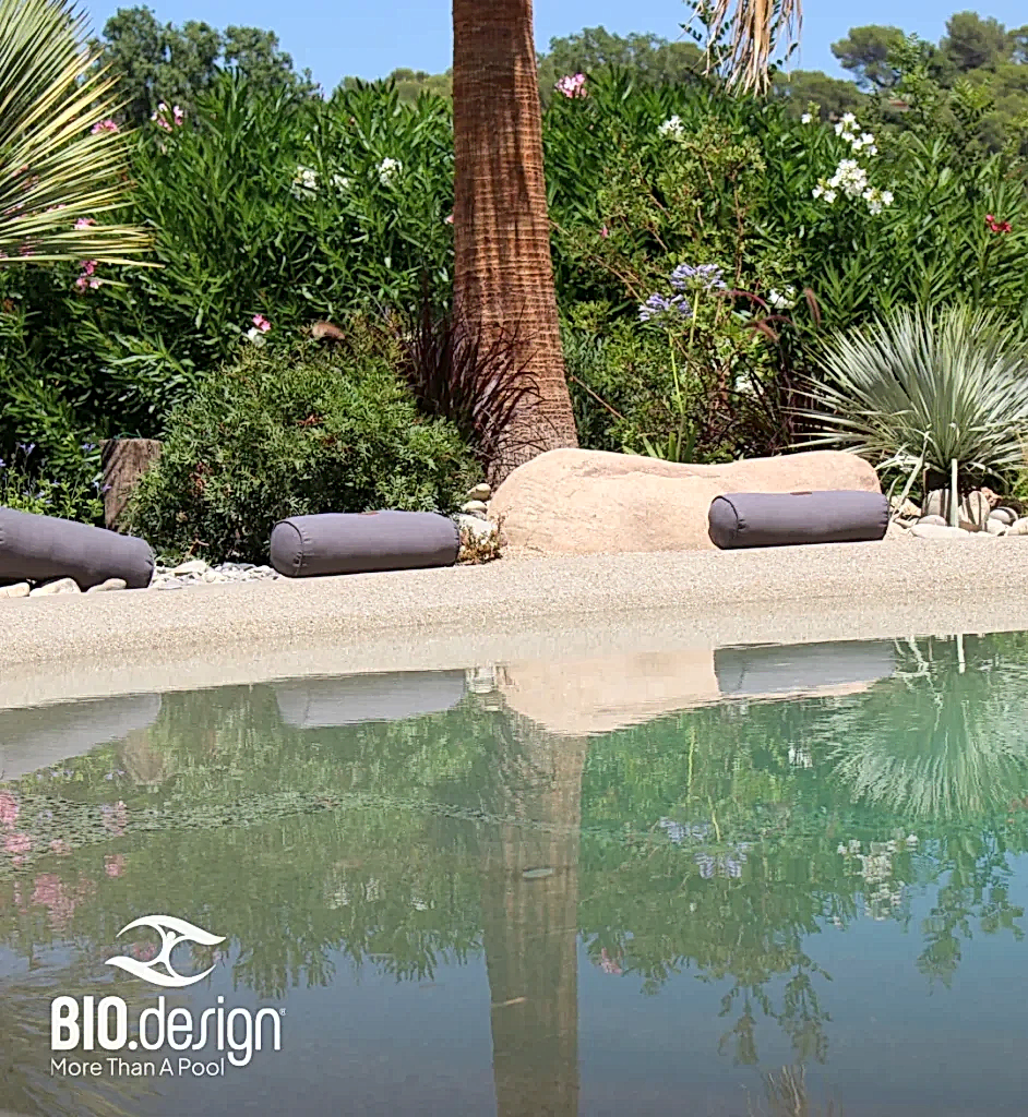 Biodesign Pool Builder Gallery