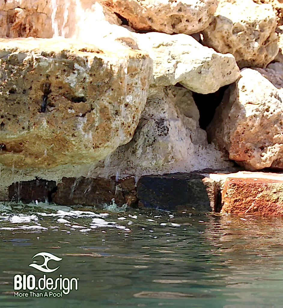 Biodesign Pool Builder Gallery