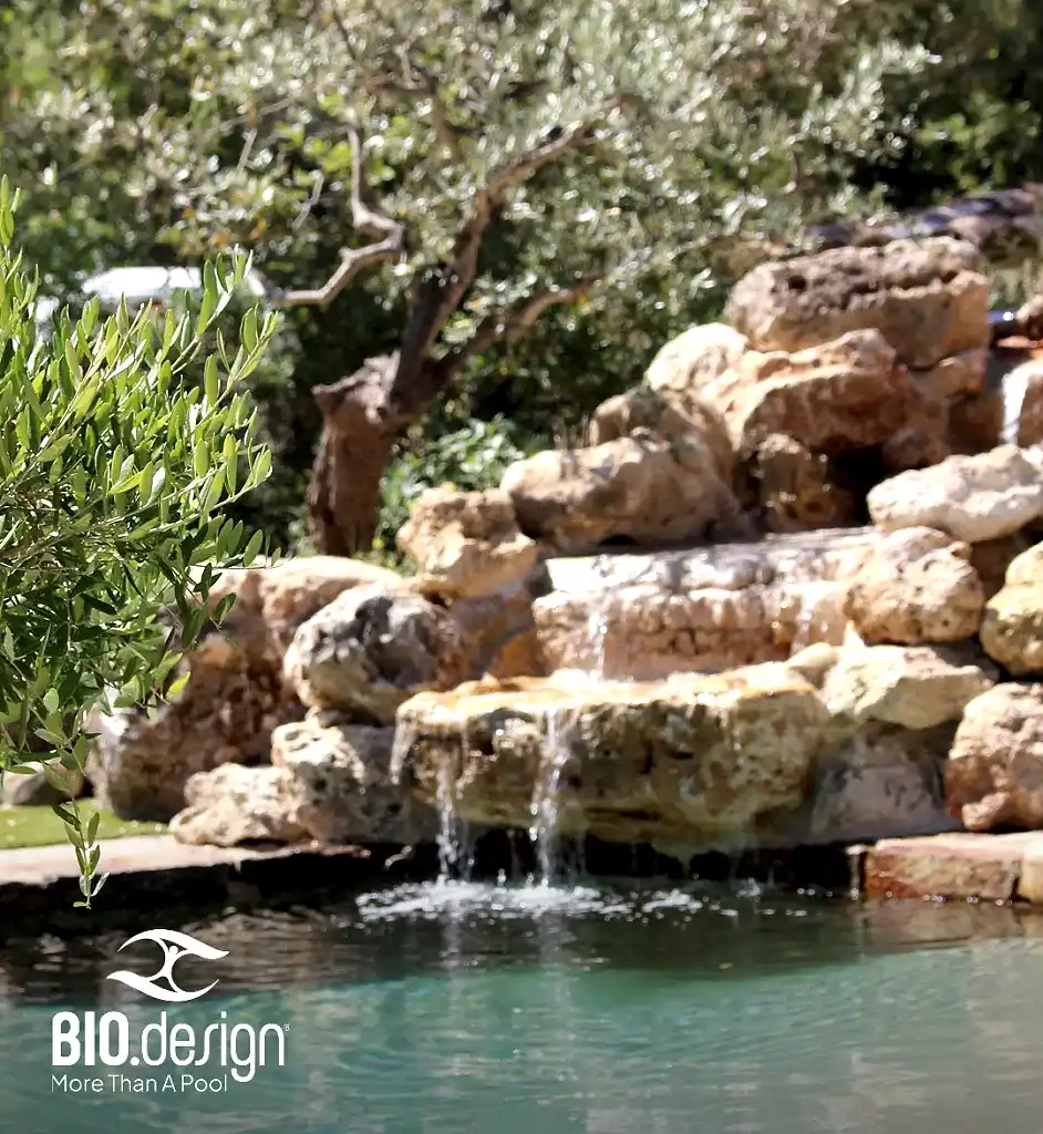 Biodesign Pool Builder Gallery